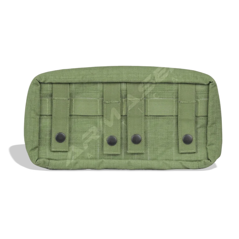 green_back_clam