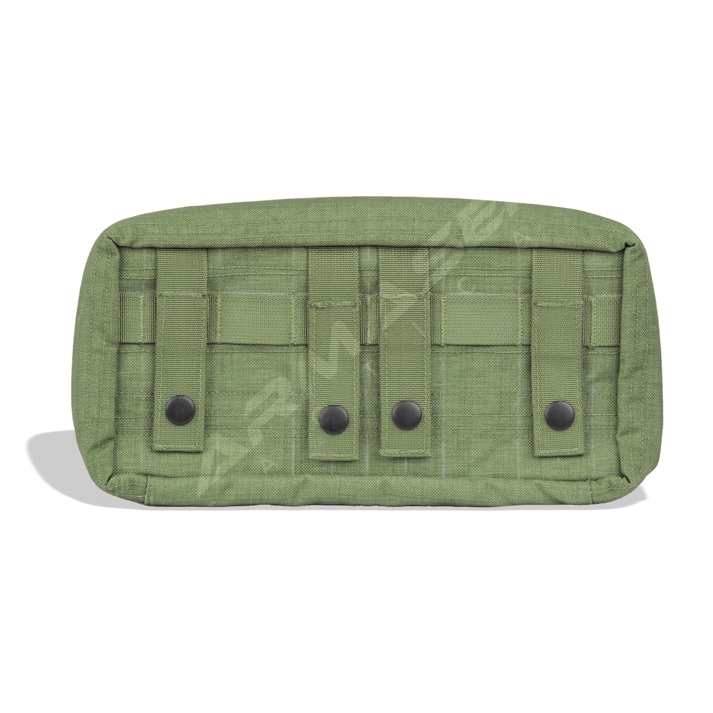 green_back_clam